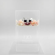 Large Acrylic Display Box with Stand