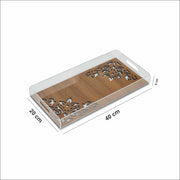 size mentioned photo of clear acrylic tray 